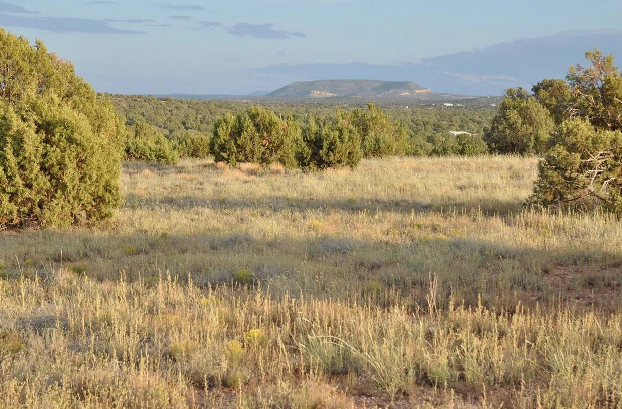 4235 Indian Bend Rd, Snowflake, AZ 85937