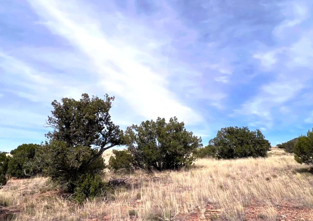 4235 Indian Bend Rd, Snowflake, AZ 85937