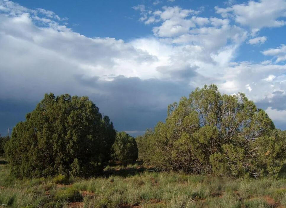 4317 Pinto Rd, Snowflake, AZ 85937