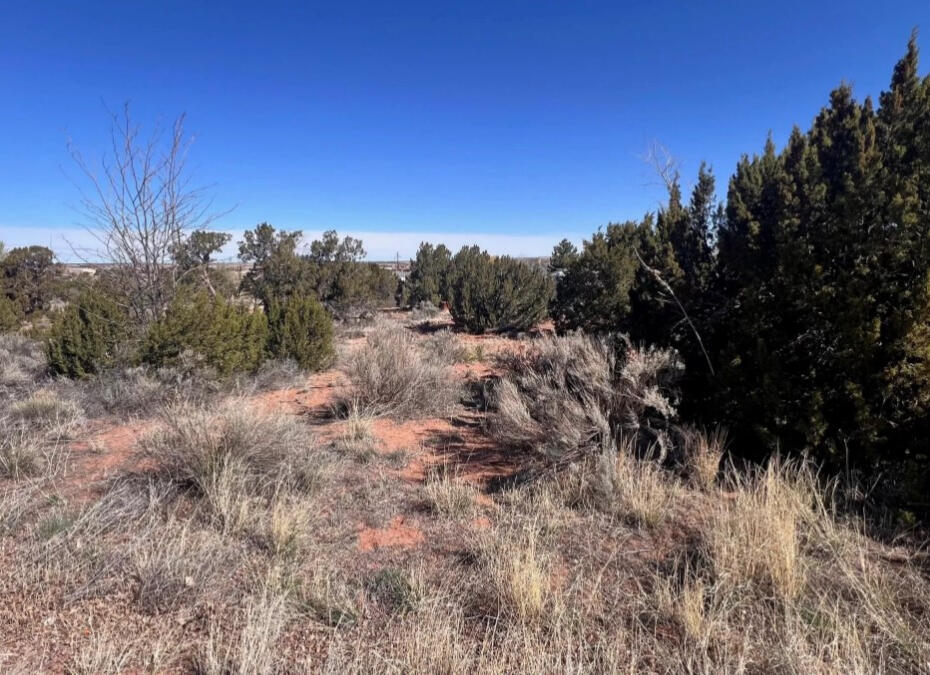 4317 Pinto Rd, Snowflake, AZ 85937