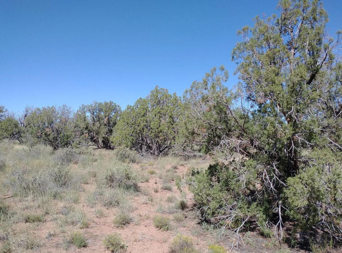 4235 Indian Bend Rd, Snowflake, AZ 85937