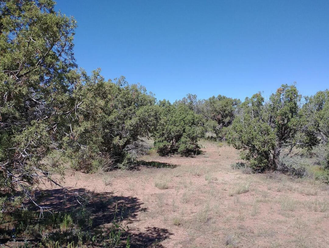 4235 Indian Bend Rd, Snowflake, AZ 85937